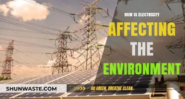 Electricity's Environmental Impact: Powering Progress or Harming Our Planet?