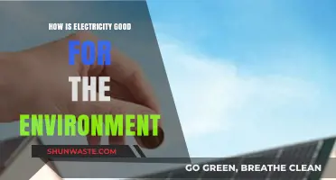 Electricity's Eco-Friendly Impact: Powering a Greener, Sustainable Future
