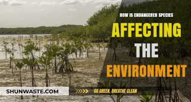 Endangered Species Crisis: Impacts on Ecosystems and Environmental Balance