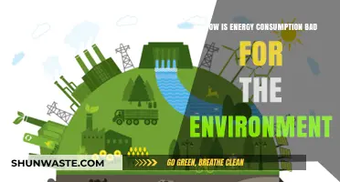 Energy Consumption's Environmental Impact: Harmful Effects and Sustainable Solutions