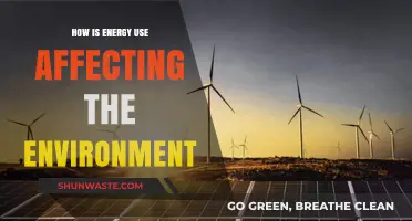 Energy Consumption's Environmental Impact: Challenges and Sustainable Solutions
