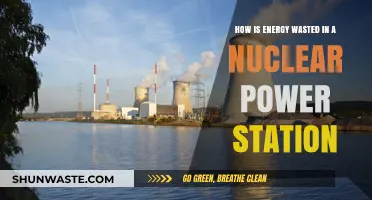 Unseen Losses: How Nuclear Power Stations Waste Energy