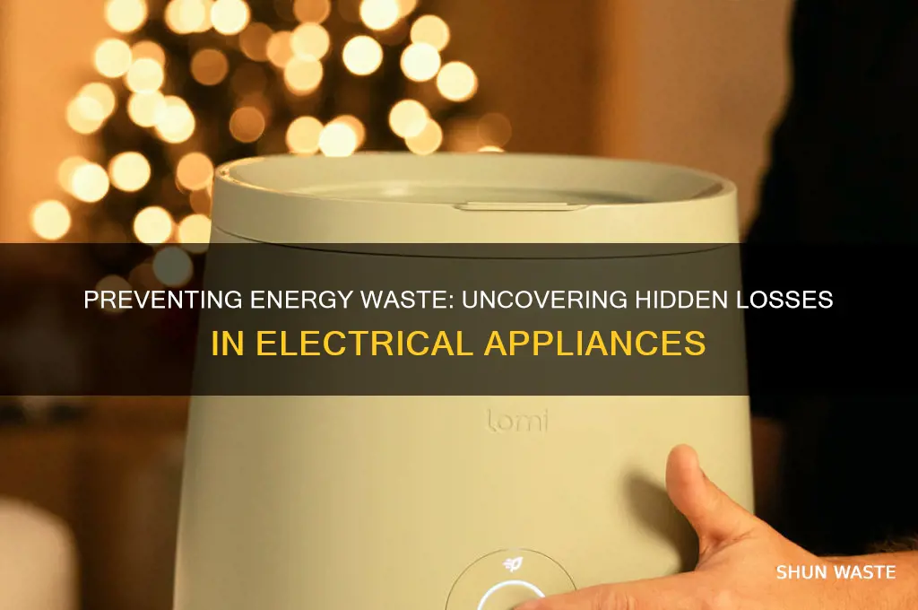 how is energy wasted in electrical appliances