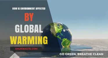 Global Warming's Devastating Impact: How Our Environment is Changing Rapidly