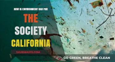 California's Environmental Crisis: How Pollution and Climate Harm Society