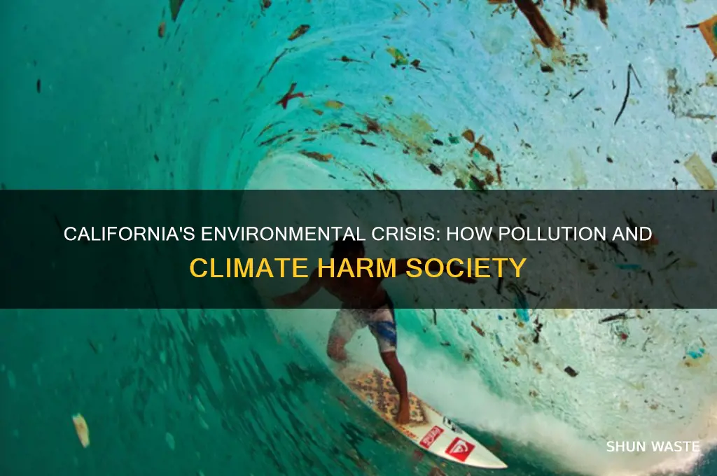 how is environment bad for the society california
