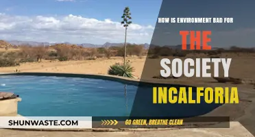 Environmental Degradation's Impact: How Incalforia Harms Society and Ecosystems
