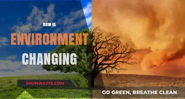 Shifting Landscapes: Understanding the Rapid Changes in Our Environment