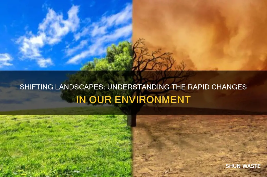 how is environment changing