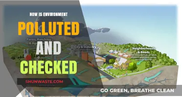 Protecting Nature: Pollution Control and Prevention Strategies