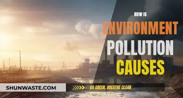 Unveiling the Complex Web: Understanding Environmental Pollution Causes