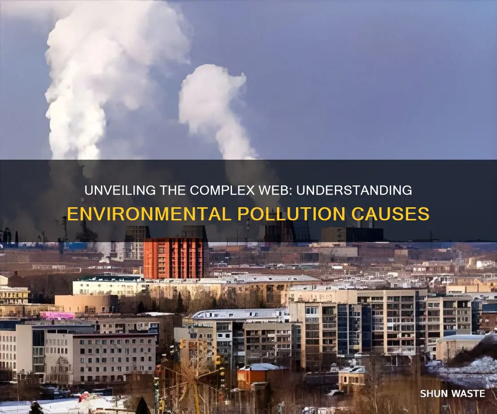 how is environmental pollution causes