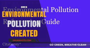 Human Impact: Environmental Pollution Sources