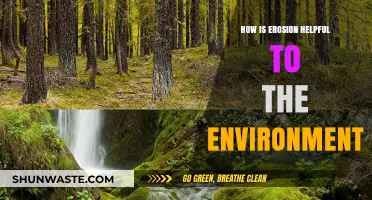 Erosion's Surprising Benefits: Shaping Ecosystems and Sustaining Life Naturally