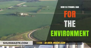 Ethanol's Environmental Impact: Uncovering Its Hidden Ecological Costs