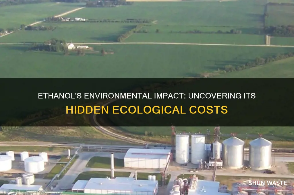 how is ethanol bad for the environment