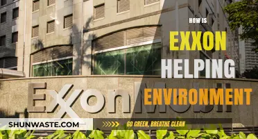 Exxon's Environmental Initiatives: Sustainable Practices and Green Energy Solutions