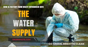 Factory Farm Waste: How It Contaminates Our Water Supply