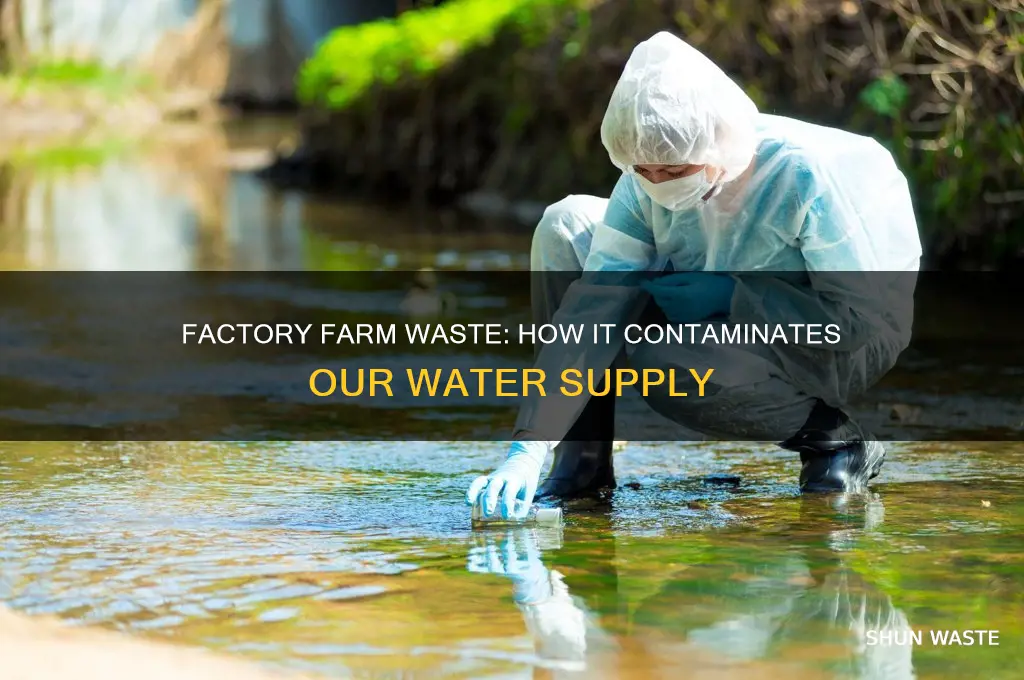 how is factory farm waste introduced into the water supply