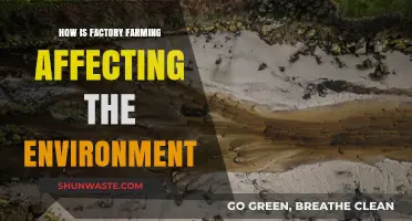 Factory Farming's Environmental Impact: Pollution, Deforestation, and Climate Crisis