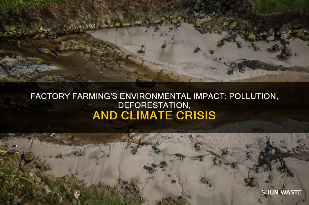 how is factory farming affecting the environment