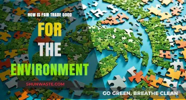 Fair Trade's Eco-Impact: Sustainable Practices for a Greener Planet