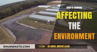 Farming's Environmental Impact: Challenges, Sustainability, and Future Solutions