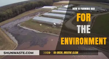 Farming's Environmental Impact: Soil Degradation, Pollution, and Biodiversity Loss