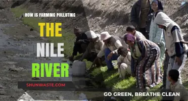 The Nile's Pollution: Farming's Unseen Impact