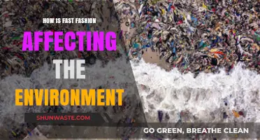 Fast Fashion's Environmental Impact: Unraveling the Hidden Costs of Trends