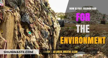 Fast Fashion's Environmental Impact: Pollution, Waste, and Unsustainable Practices