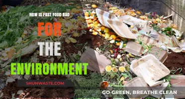 Fast Food's Hidden Costs: Environmental Impact and Unsustainable Practices