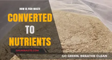Transforming Fish Waste into Nutrient-Rich Resources: A Sustainable Cycle