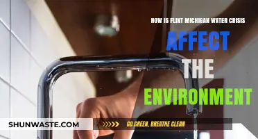 Flint's Water Crisis: Environmental Impacts and Long-Term Ecological Consequences