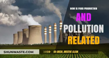 Food Production's Pollution Problem