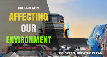 Food Waste's Environmental Impact: A Growing Crisis for Our Planet