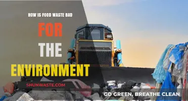 Food Waste's Environmental Impact: A Hidden Climate Crisis