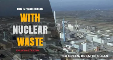 France's Nuclear Waste Management: Strategies, Challenges, and Sustainable Solutions
