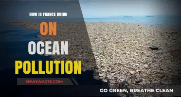 France's Ocean Pollution: Progress and Challenges