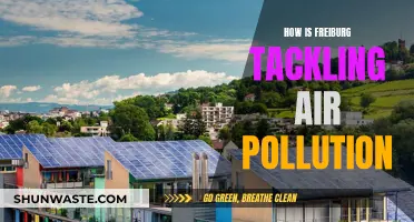 Freiburg's Fight Against Air Pollution