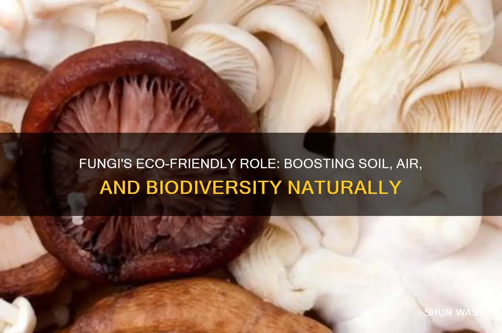 how is fungi good for environment