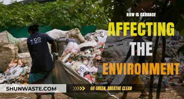 Garbage Crisis: Environmental Impact and Urgent Solutions for a Sustainable Future