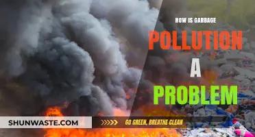 Garbage Pollution: A Growing Environmental Crisis