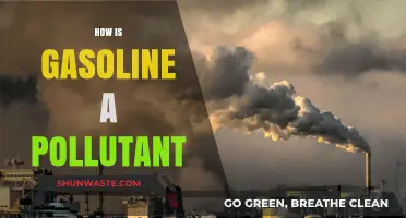 Gasoline's Pollution: Harmful Emissions and Environmental Impact