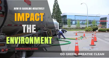 Gasoline's Environmental Toll: Pollution, Climate Change, and Ecosystem Destruction