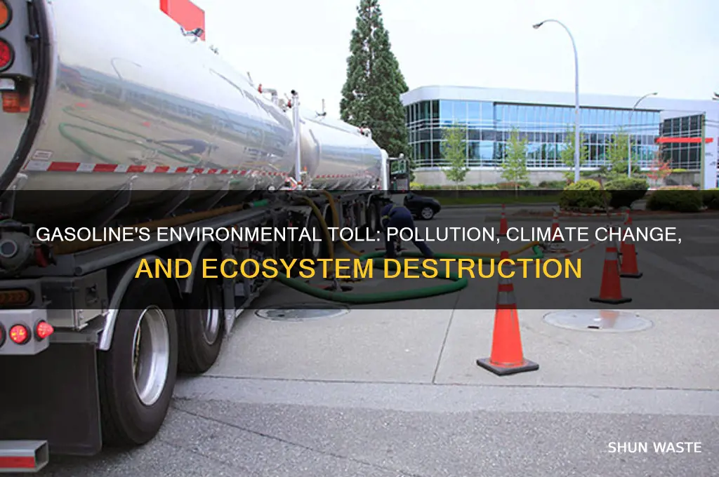 how is gasoline negatively impact the environment