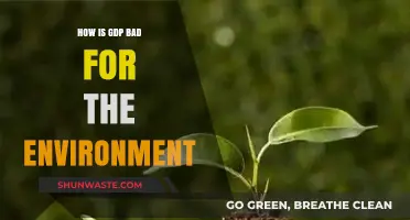 GDP Growth's Hidden Cost: Environmental Degradation and Unsustainable Practices