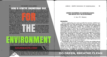 Genetic Engineering's Environmental Impact: Risks, Concerns, and Ecological Consequences