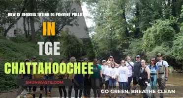Georgia's Efforts to Protect the Chattahoochee