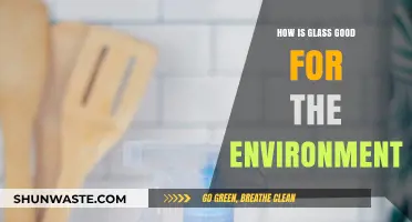 Glass: A Sustainable, Eco-Friendly Choice for a Greener Future